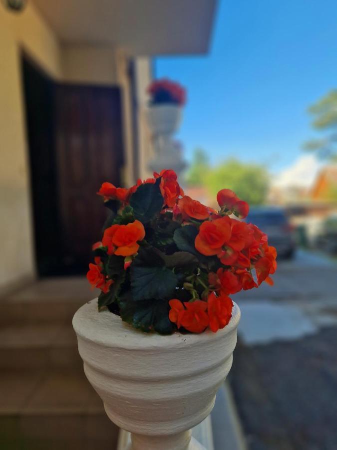 Atostogu Namai Meta Palanga Exterior foto